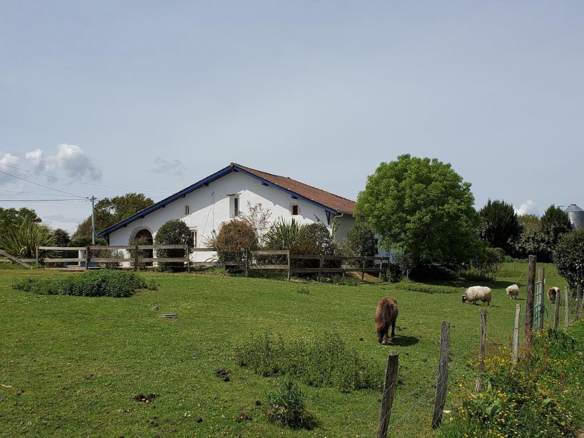 Family Home With Pool Saint-Lon-Les-Mines Εξωτερικό φωτογραφία